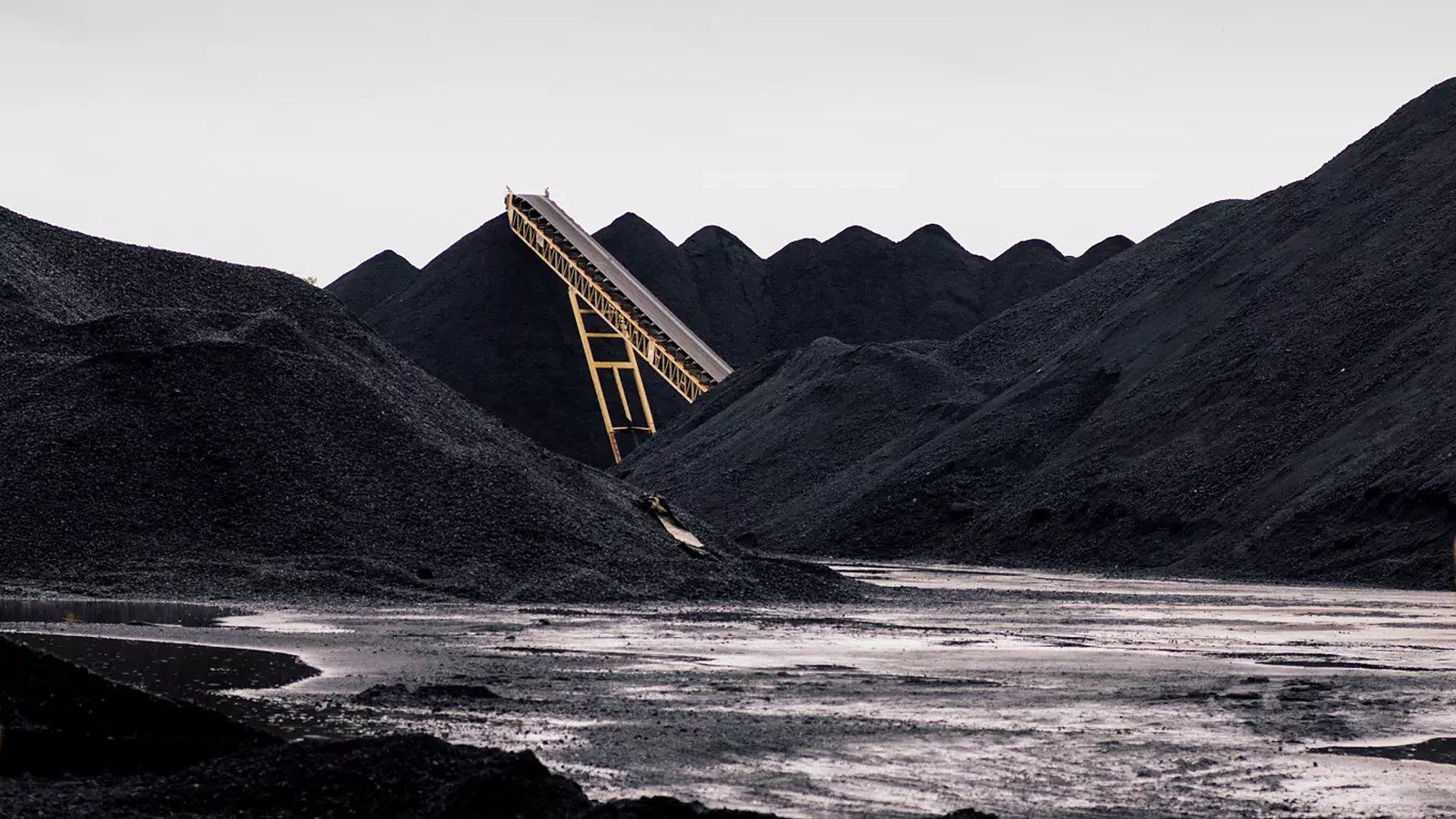 A petroleum coke stockpile and conveyor loader at an industrial marine terminal